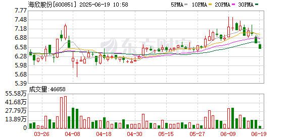 申银优配 海欣股份：2024年年度股东大会决议公告