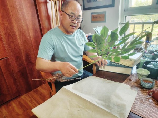 股E融 从“跑山少年”到中医师