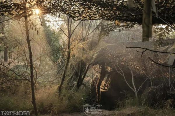 鼎际之家 乌克兰M109自行榴弹炮潜伏作战 严密伪装防止被俄军无人机发现